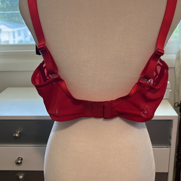 Gorgeous NWT red Paramour bra. Size 40G - Picture 4 of 4